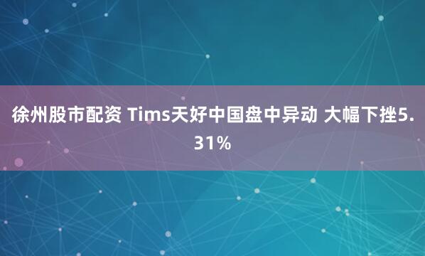 徐州股市配资 Tims天好中国盘中异动 大幅下挫5.31%