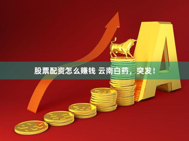 股票配资怎么赚钱 云南白药，突发！