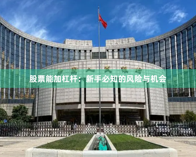 股票能加杠杆：新手必知的风险与机会